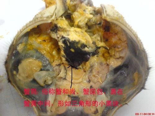 图解大闸蟹不能吃的部位-大闸蟹哪些地方不能吃？4