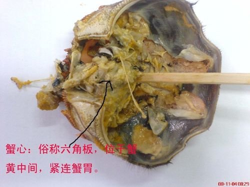 图解大闸蟹不能吃的部位-大闸蟹哪些地方不能吃？5