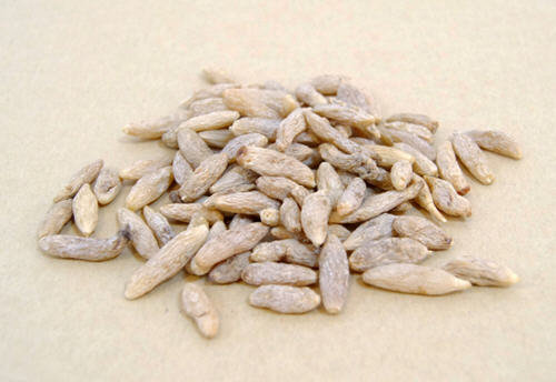 麦冬可以直接吃吗？生麦冬可以吃吗？3