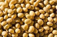 【图文讲解】如何在家自制黄豆酱的土方法-土法自制黄豆酱的做法1