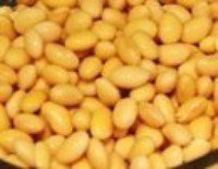 【图文讲解】如何在家自制黄豆酱的土方法-土法自制黄豆酱的做法4