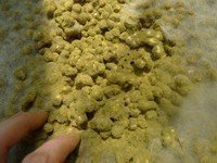 【图文讲解】如何在家自制黄豆酱的土方法-土法自制黄豆酱的做法9