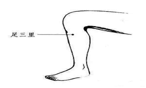 艾灸足三里的神奇功效讲解4