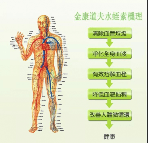 金康道夫天然水蛭素、完善人体自愈系统2