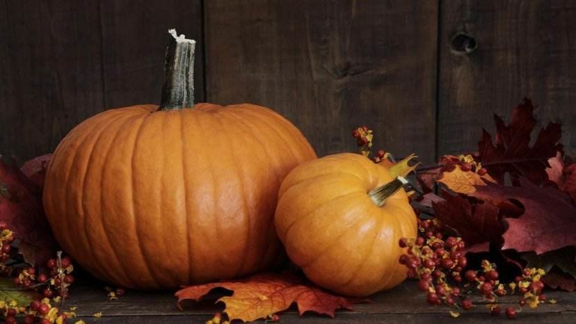 冬季养胎，这些食物孕妇最好别错过，对自己和胎宝健康有益 3