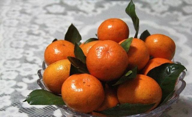 冬季养胎，这些食物孕妇最好别错过，对自己和胎宝健康有益 5