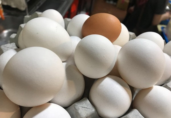 早上至少要吃1颗蛋！专家揭2大好处：补血健脾胃、稳定脑神经 1