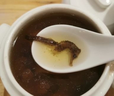 提高全家免疫力，喝【海龙海马老鸡汤】 2