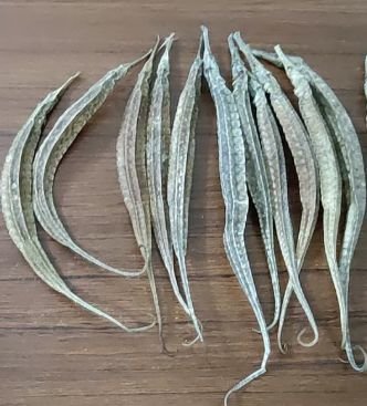 提高全家免疫力，喝【海龙海马老鸡汤】 3