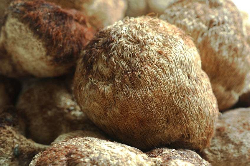 强健脾胃促进消化，推荐4种健脾食物3