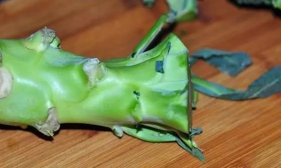 菜根也有食疗功效：这几种常见改善病症的菜根1