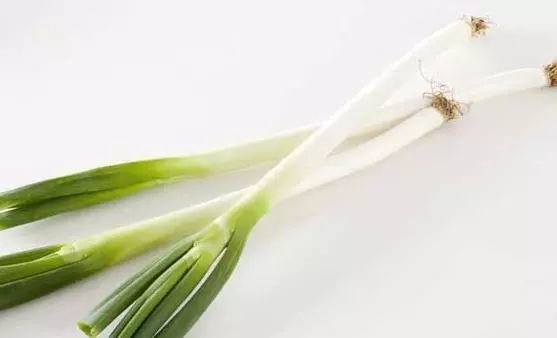 菜根也有食疗功效：这几种常见改善病症的菜根3