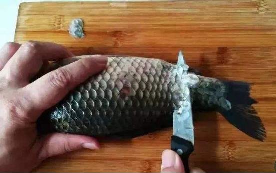 都学学，原来刮鱼鳞这么简单，一个塑料袋就搞定！1