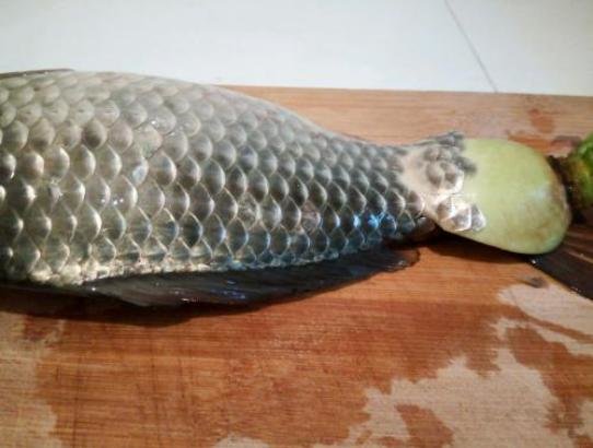 都学学，原来刮鱼鳞这么简单，一个塑料袋就搞定！4