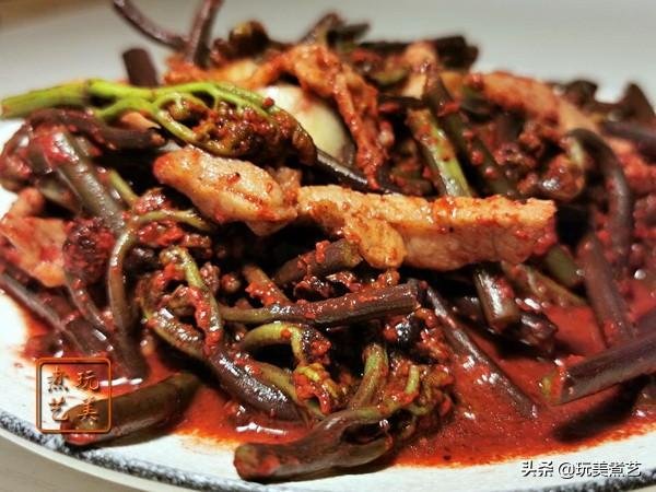 “废物利用”创造蕨菜另一个红火的天然健康菜2