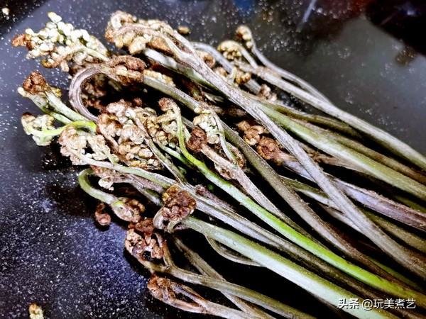 “废物利用”创造蕨菜另一个红火的天然健康菜3
