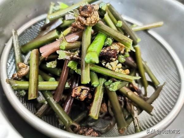 “废物利用”创造蕨菜另一个红火的天然健康菜9