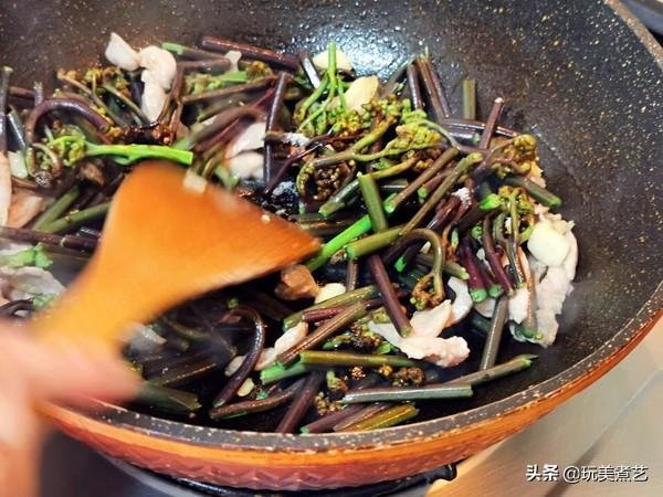 “废物利用”创造蕨菜另一个红火的天然健康菜14