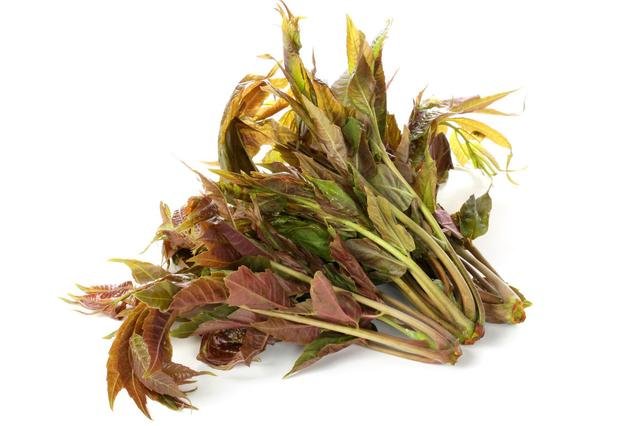 炒香椿时，到底要不要焯水？6