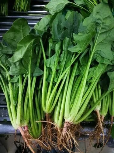 春季【健胃补益】，你需要一碗菠菜春笋滚鲫鱼汤 1