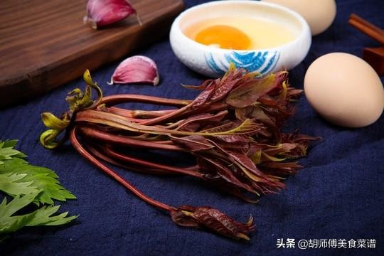 买香椿时，买红香椿还是绿香椿？2