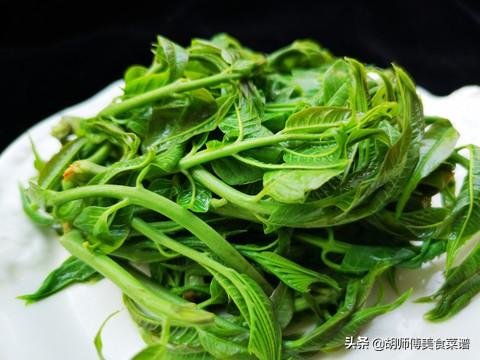 买香椿时，买红香椿还是绿香椿？3