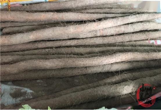 怎么挑选山药？买山药时，看到“这3种”别再买1