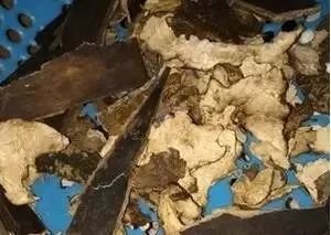 强筋骨、补气血、推荐羊肉加一宝,胜过吃人参！4