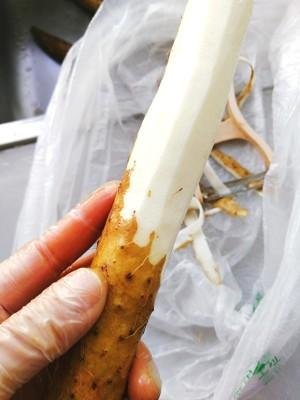 松软养胃的【山药饼】，高营养低热量！1