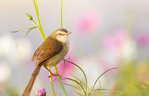 避风寒、防感冒！推荐这个运动和食疗1