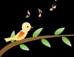 避风寒、防感冒！推荐这个运动和食疗5