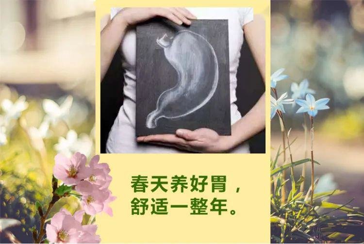 不要弄反了：春季吃小米粥or小米饭才养胃？2