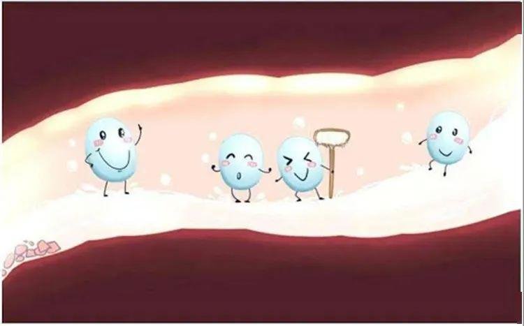 不要弄反了：春季吃小米粥or小米饭才养胃？7