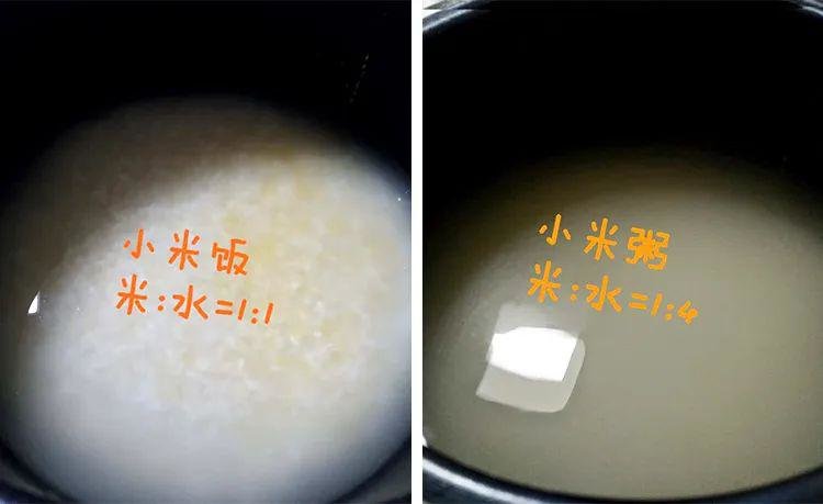 不要弄反了：春季吃小米粥or小米饭才养胃？10