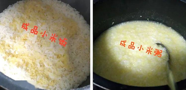 不要弄反了：春季吃小米粥or小米饭才养胃？12