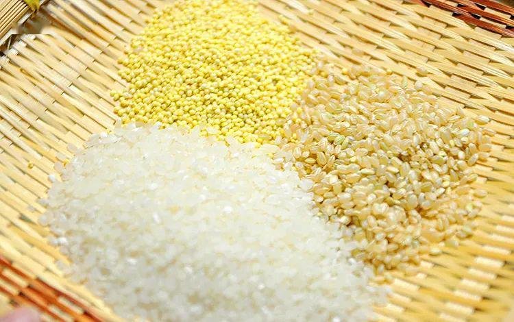 不要弄反了：春季吃小米粥or小米饭才养胃？14