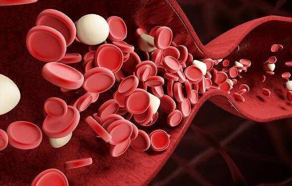 营养师：吃黄冰糖和白冰糖补血，其实两种都没用 4