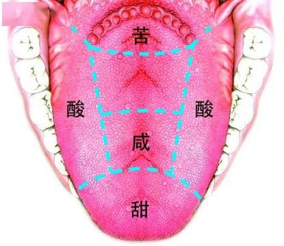 葡萄酒为什么会酸？这是我见过最全的回答！ 2