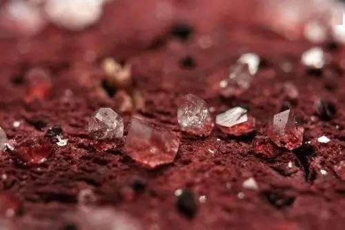 葡萄酒为什么会酸？这是我见过最全的回答！ 3