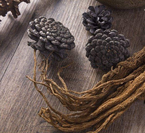 中医水湿是什么意思？