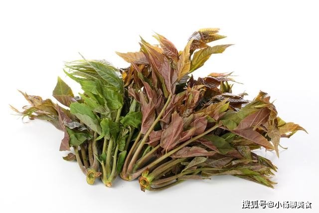 春天的一道养生菜，健胃理气，补充维生素c，脸上皱纹越来越少 2
