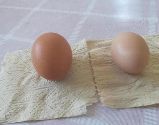 土鸡蛋和饲料鸡蛋营养价值一样吗4