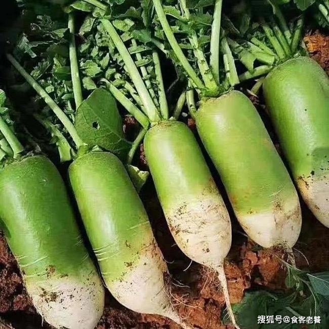 润肺补气的食物有哪些？1