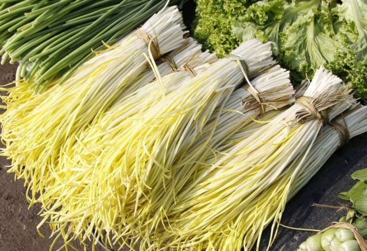 韭黄炒鸡蛋，健胃杀菌，清肠刮油1