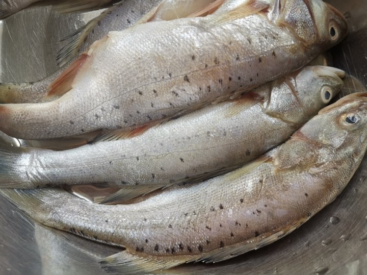 健脾益胃：白萝卜炖海鲈鱼3