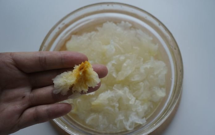 冬季养生之食疗汤【小吊梨汤】4