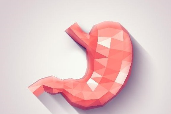 胃动力降低，养胃是关键，那么该如何养胃呢？1