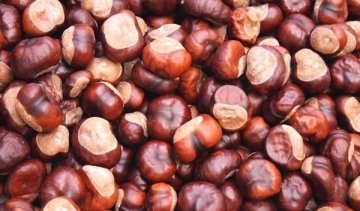 补血养颜、睡眠好、吃【栗子小米粥】2