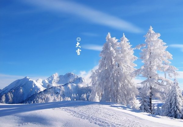 推荐3道养生粥，营养好消化，养胃又养人1