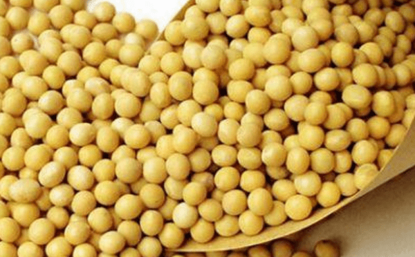 补血养颜，多吃4种食物4